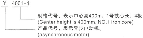 西安泰富西玛Y系列(H355-1000)高压YE2-132S-8三相异步电机型号说明