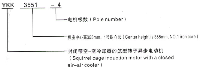 YKK系列(H355-1000)高压YE2-132S-8三相异步电机西安泰富西玛电机型号说明