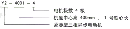 YR系列(H355-1000)高压YE2-132S-8三相异步电机西安西玛电机型号说明